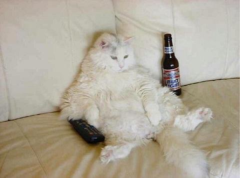 ☆ななぞう☆ちゃんの2015/2/7 (土) 23:00のブログ