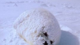 ☆ななぞう☆ちゃんの2015/3/18 (水) 00:06のブログ