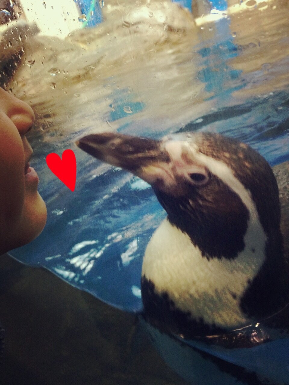 水族館♡