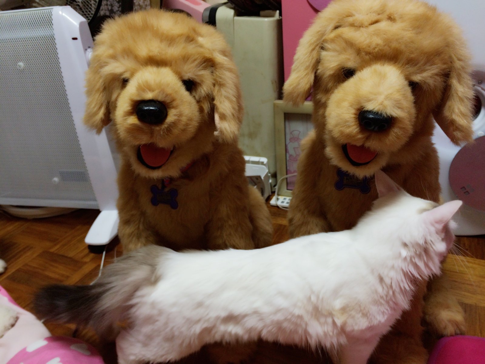 さとみちゃんちゃんの2015/2/6 (金) 00:27のブログ