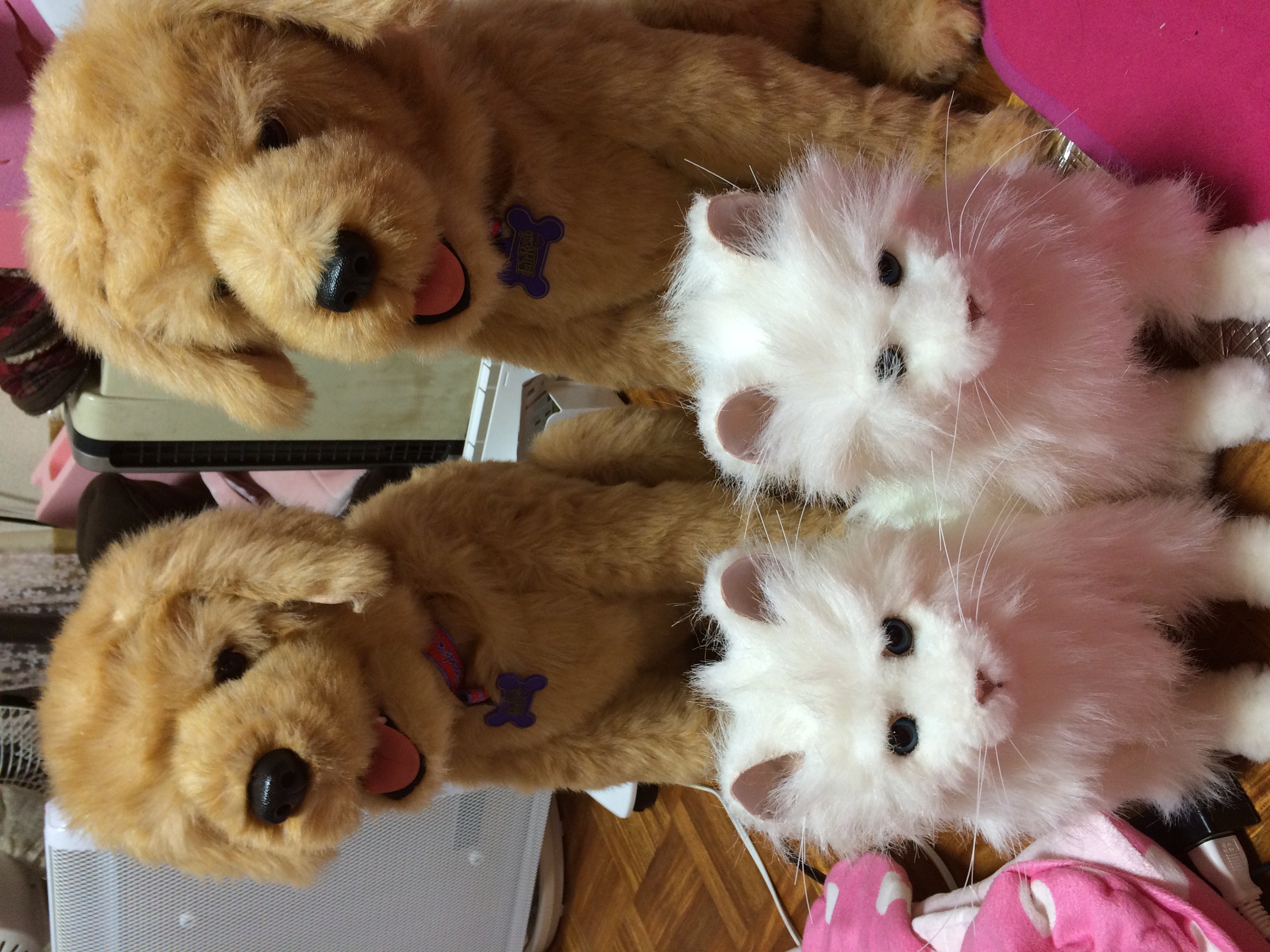 さとみちゃんちゃんの2015/2/6 (金) 00:32のブログ