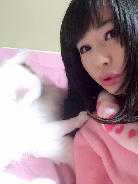 元気な猫と２ショット