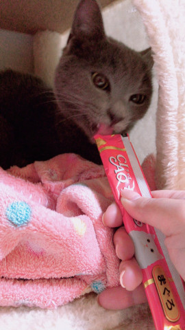 詩乃。ちゃんの2019/2/18 (月) 02:22のブログ