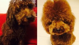 詩乃。ちゃんの2015/3/2 (月) 19:19のブログ