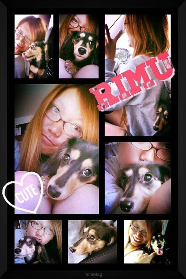 愛犬💓カニヘンダックス