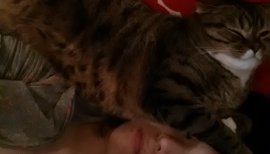 ＊ にゃあ ＊ちゃんの2015/3/31 (火) 07:35のブログ