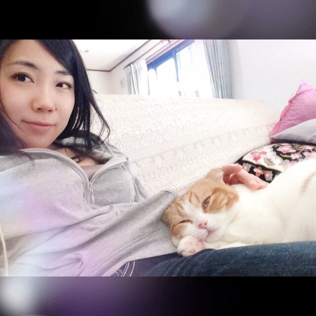 うちのねこさん