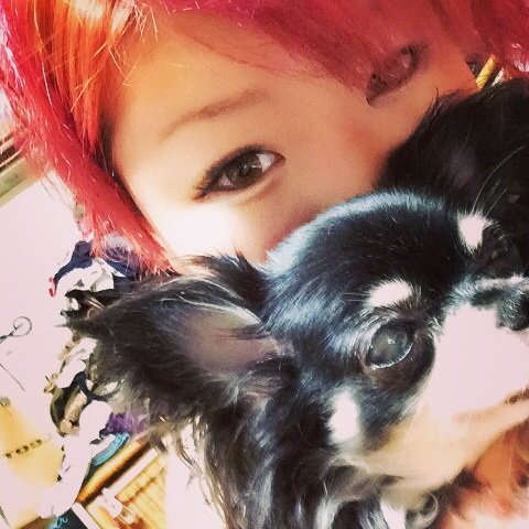 ペット自慢コンテスト