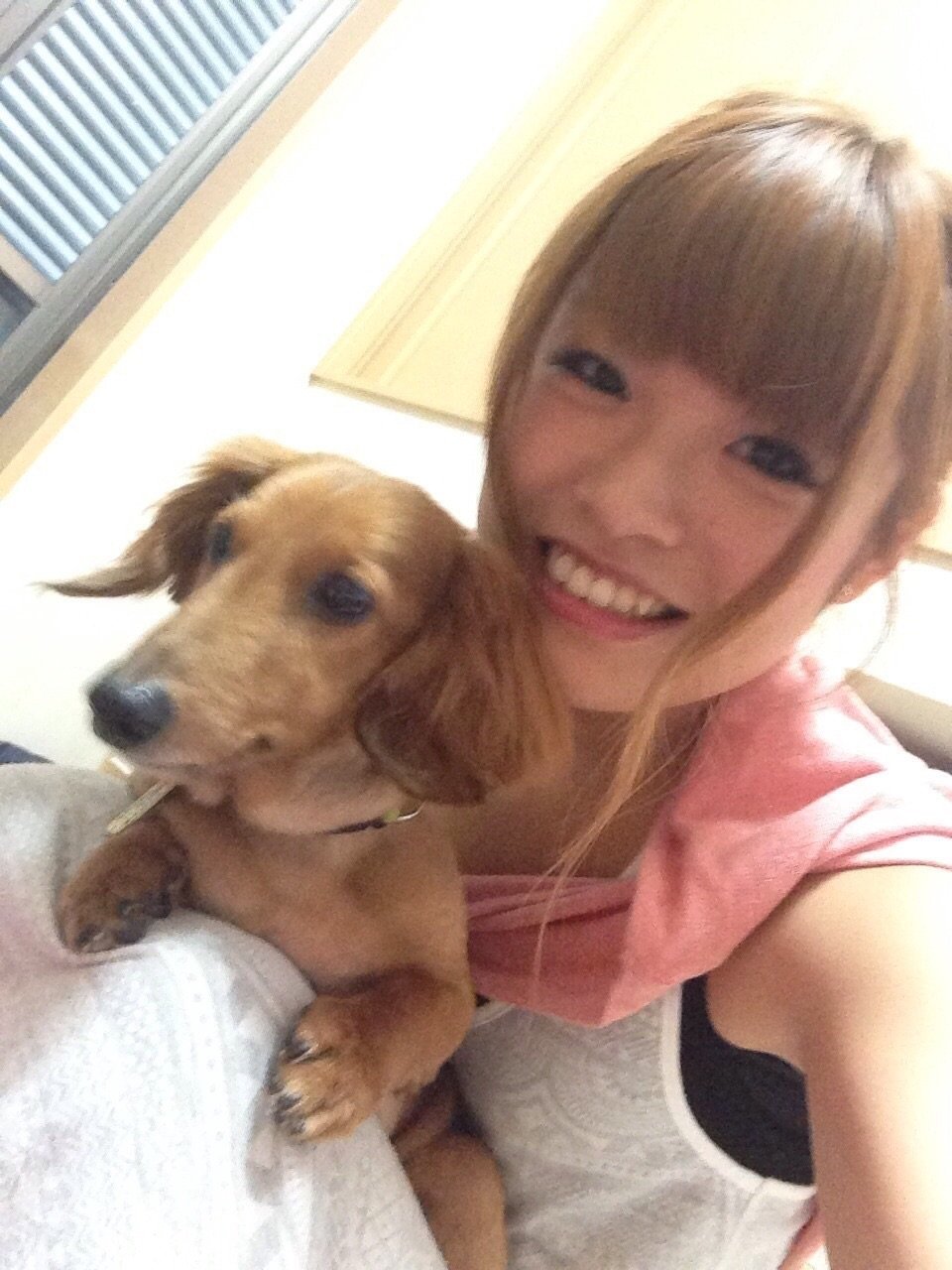 うちの可愛いチャ太郎