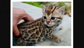 ゆうなっち♡ちゃんの2015/5/30 (土) 23:51のブログ