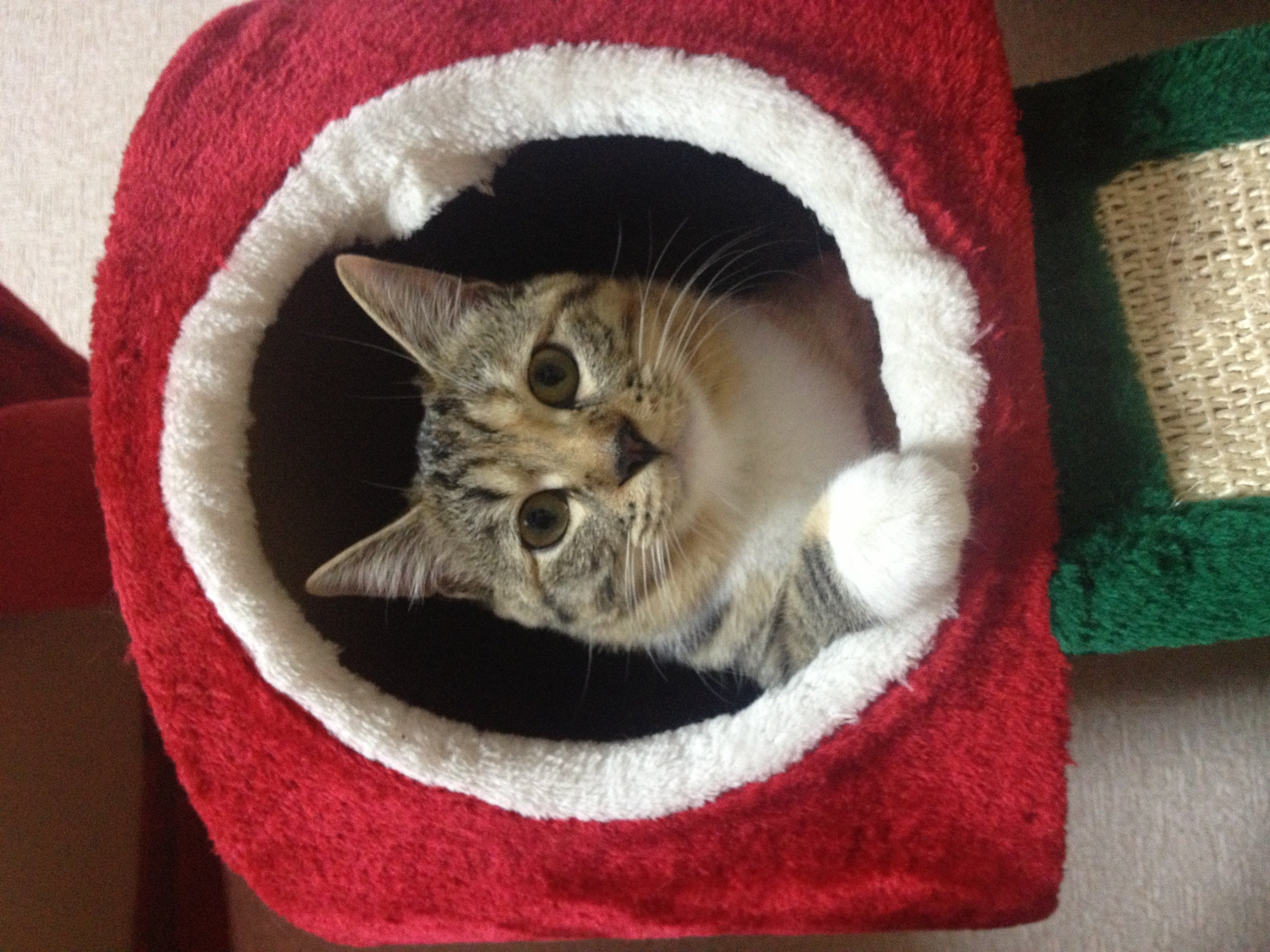 RUIちゃんの2014/1/29 (水) 17:25のブログ