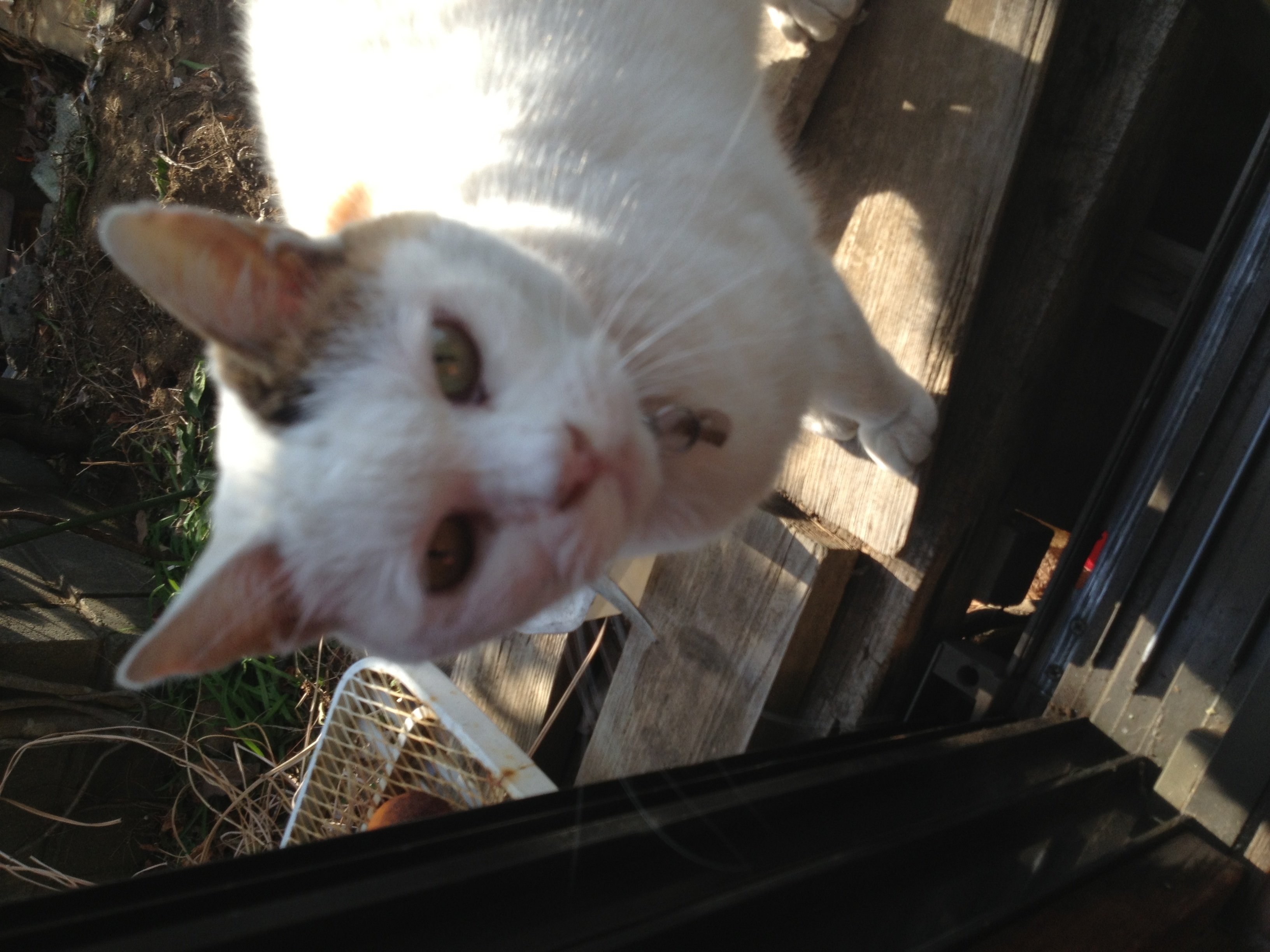 RUIちゃんの2014/2/3 (月) 10:34のブログ