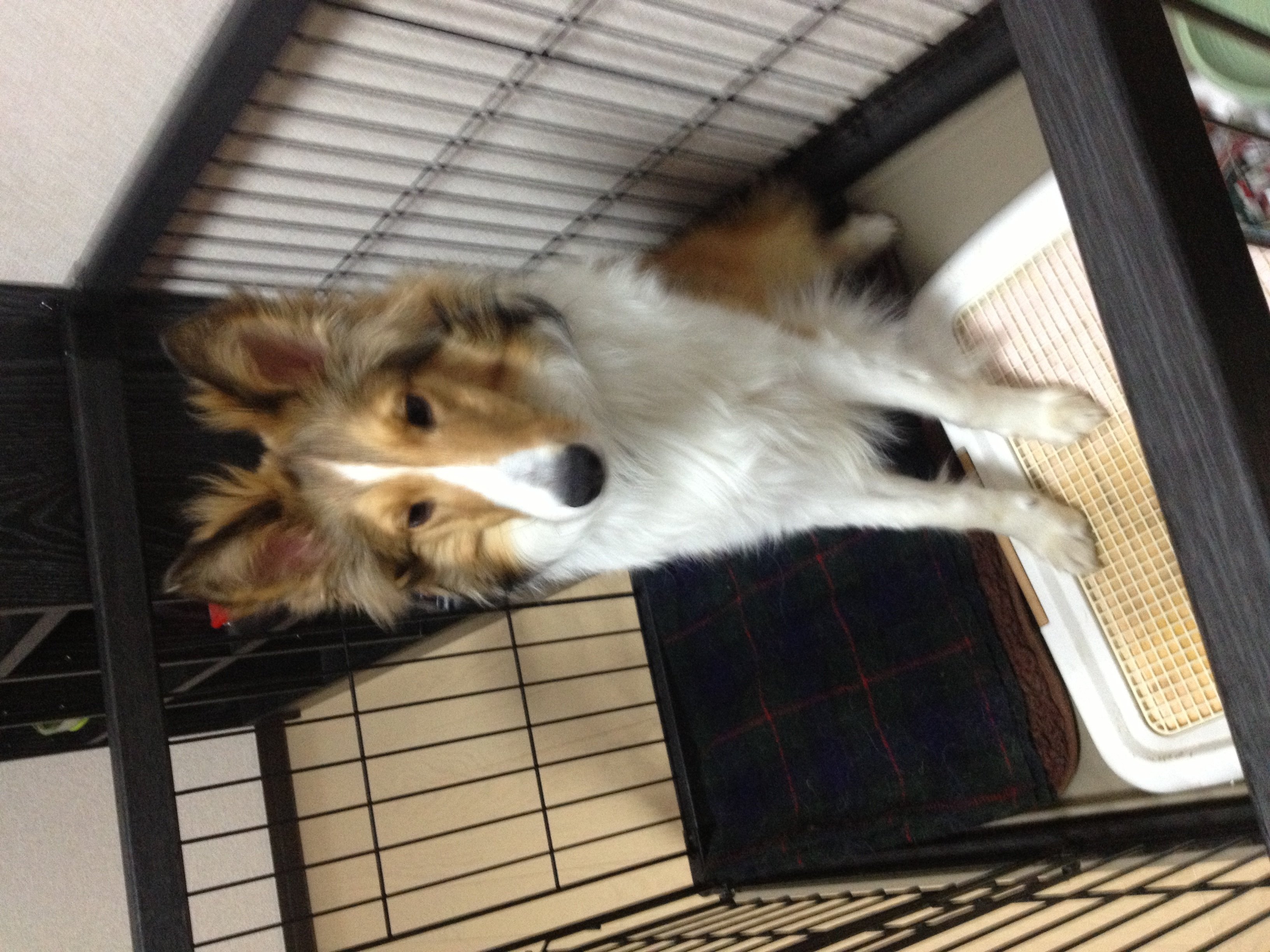 RUIちゃんの2014/2/22 (土) 23:10のブログ