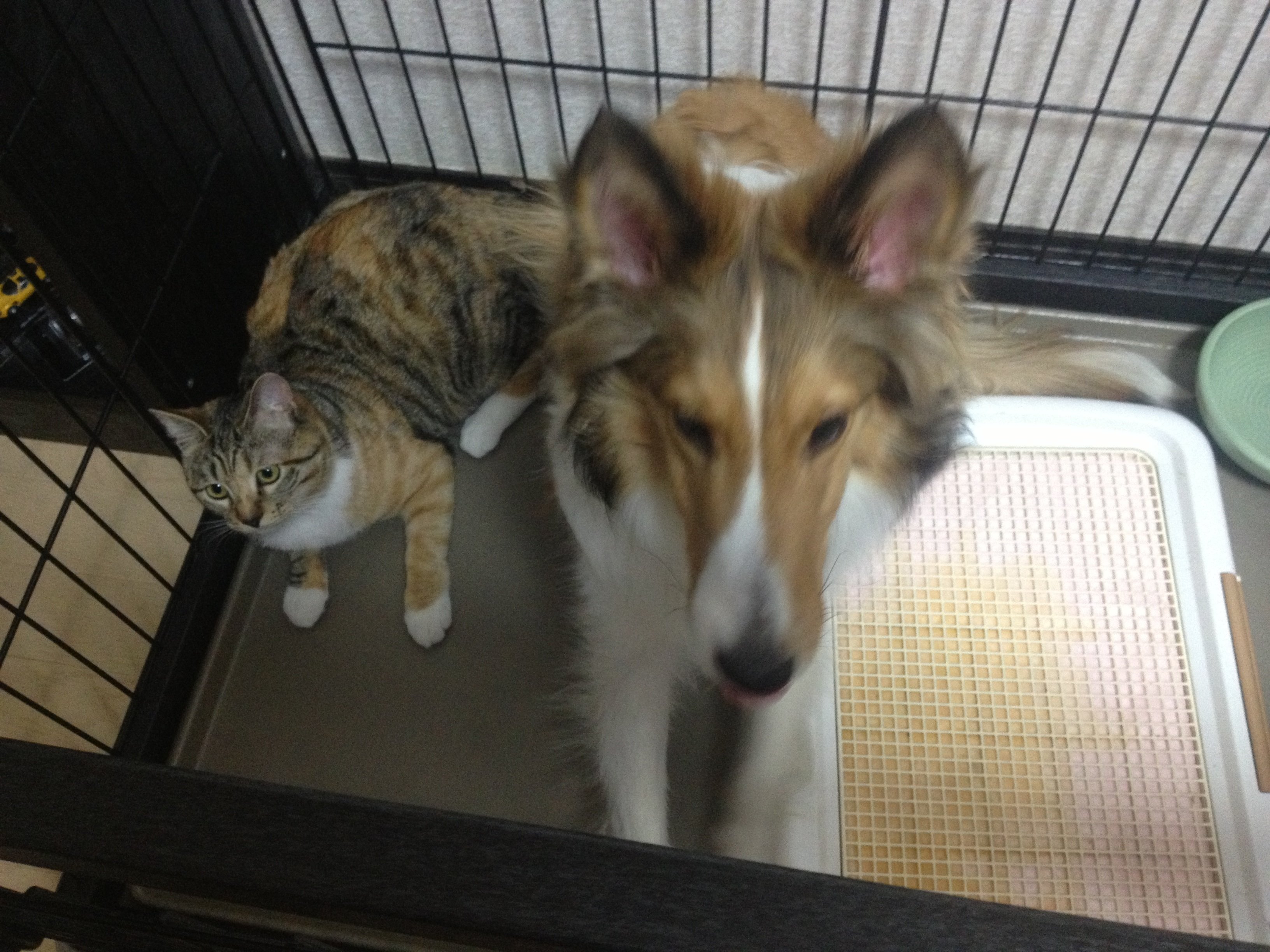 RUIちゃんの2014/3/3 (月) 18:35のブログ