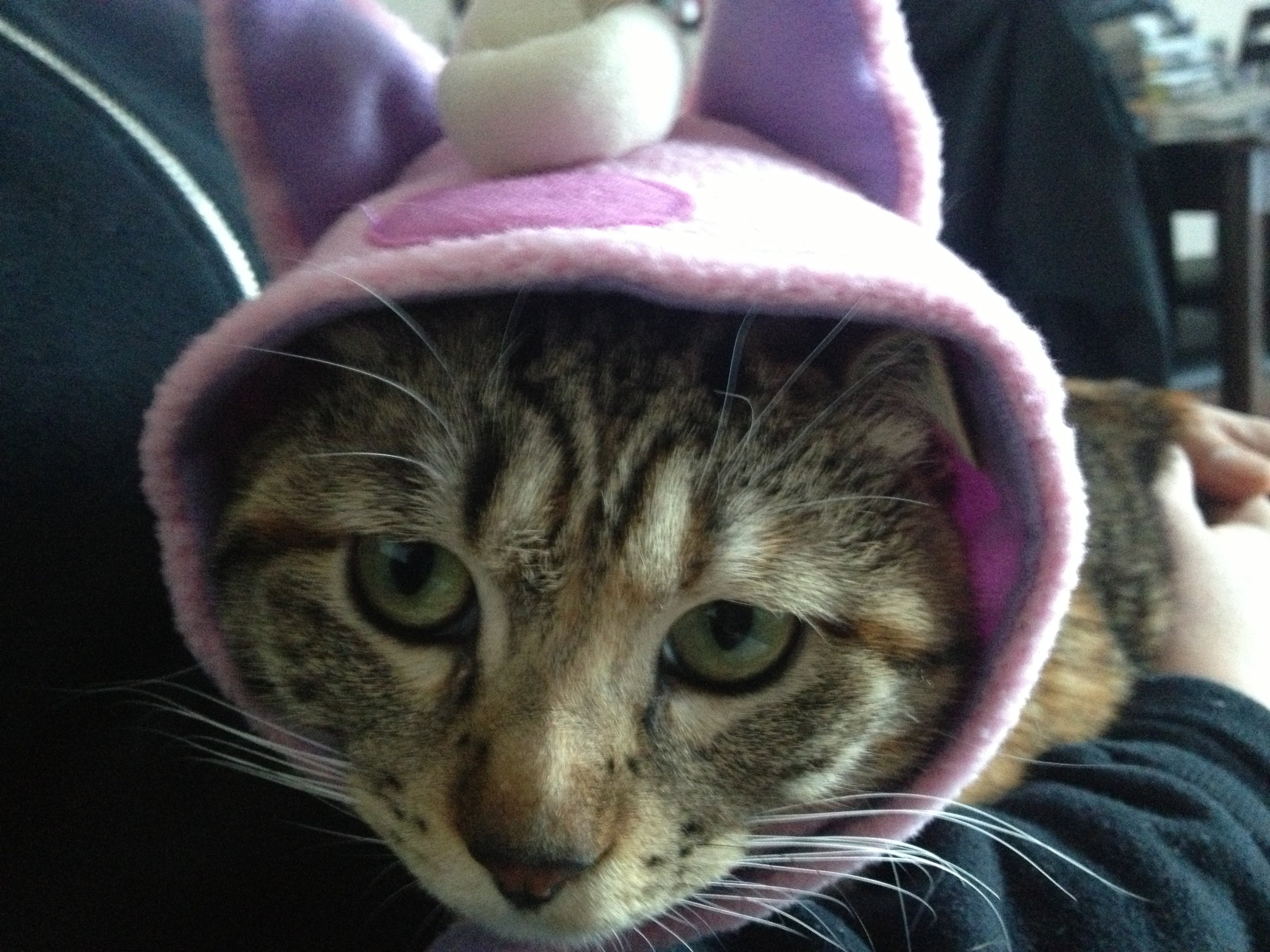 RUIちゃんの2014/3/13 (木) 09:35のブログ