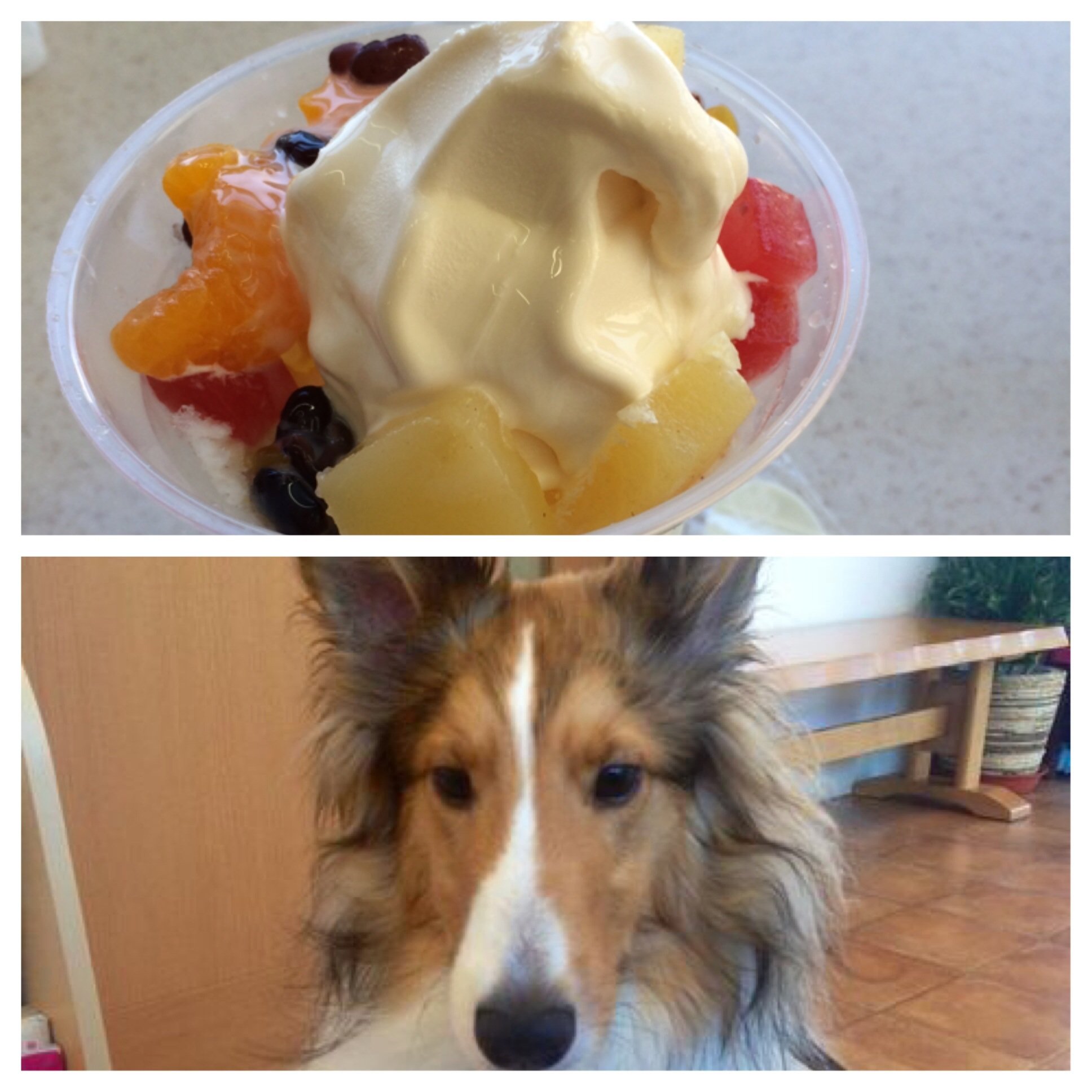 RUIちゃんの2014/6/1 (日) 17:27のブログ