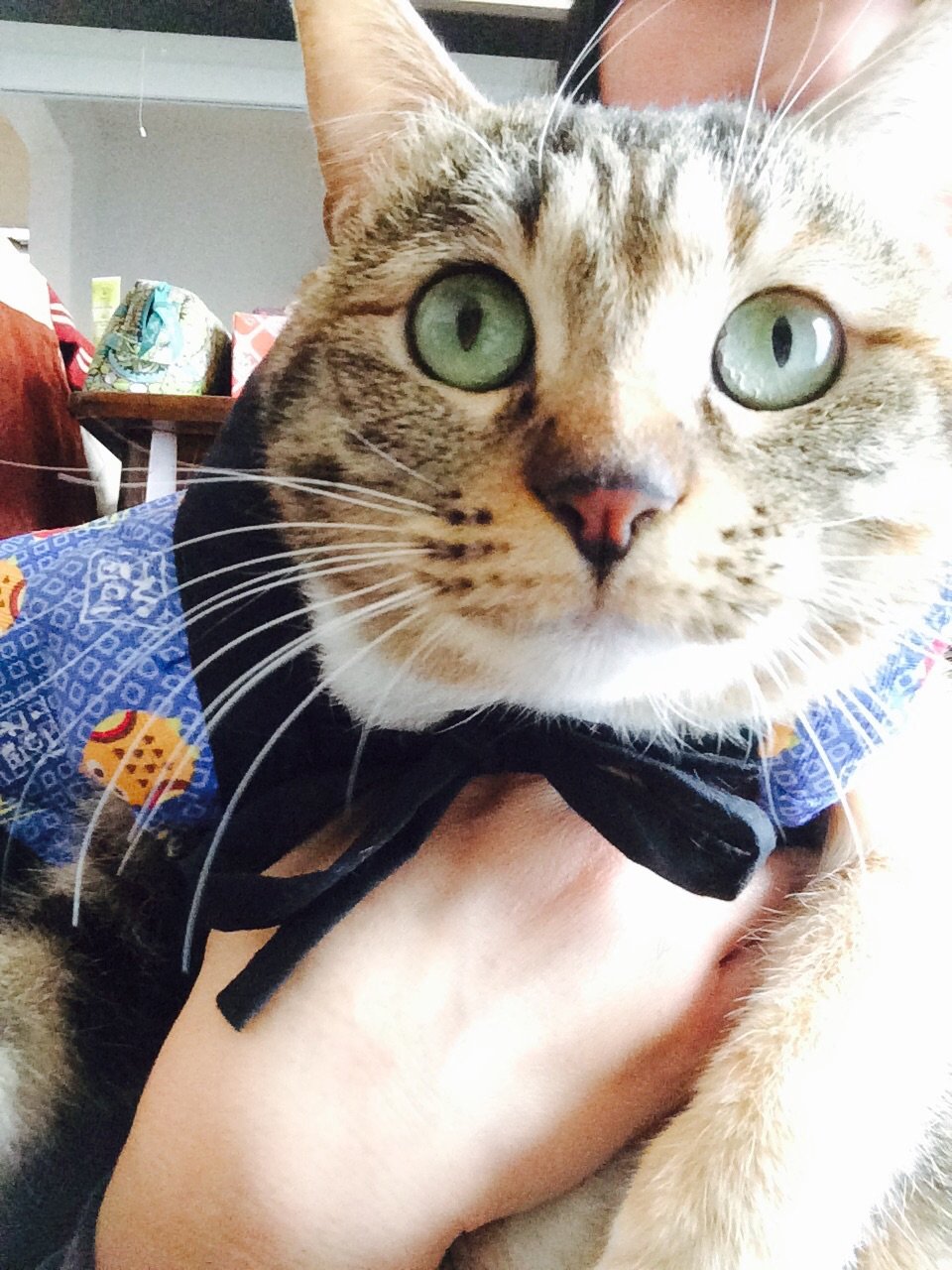 RUIちゃんの2014/12/31 (水) 02:05のブログ