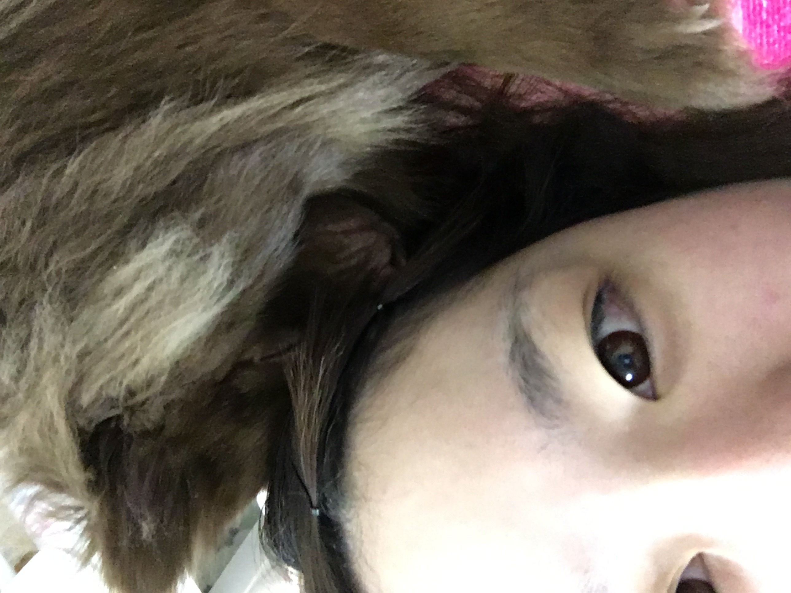 あやかんちゃんの2016/3/23 (水) 01:00のブログ