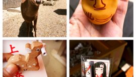 🦌奈良公園🦌