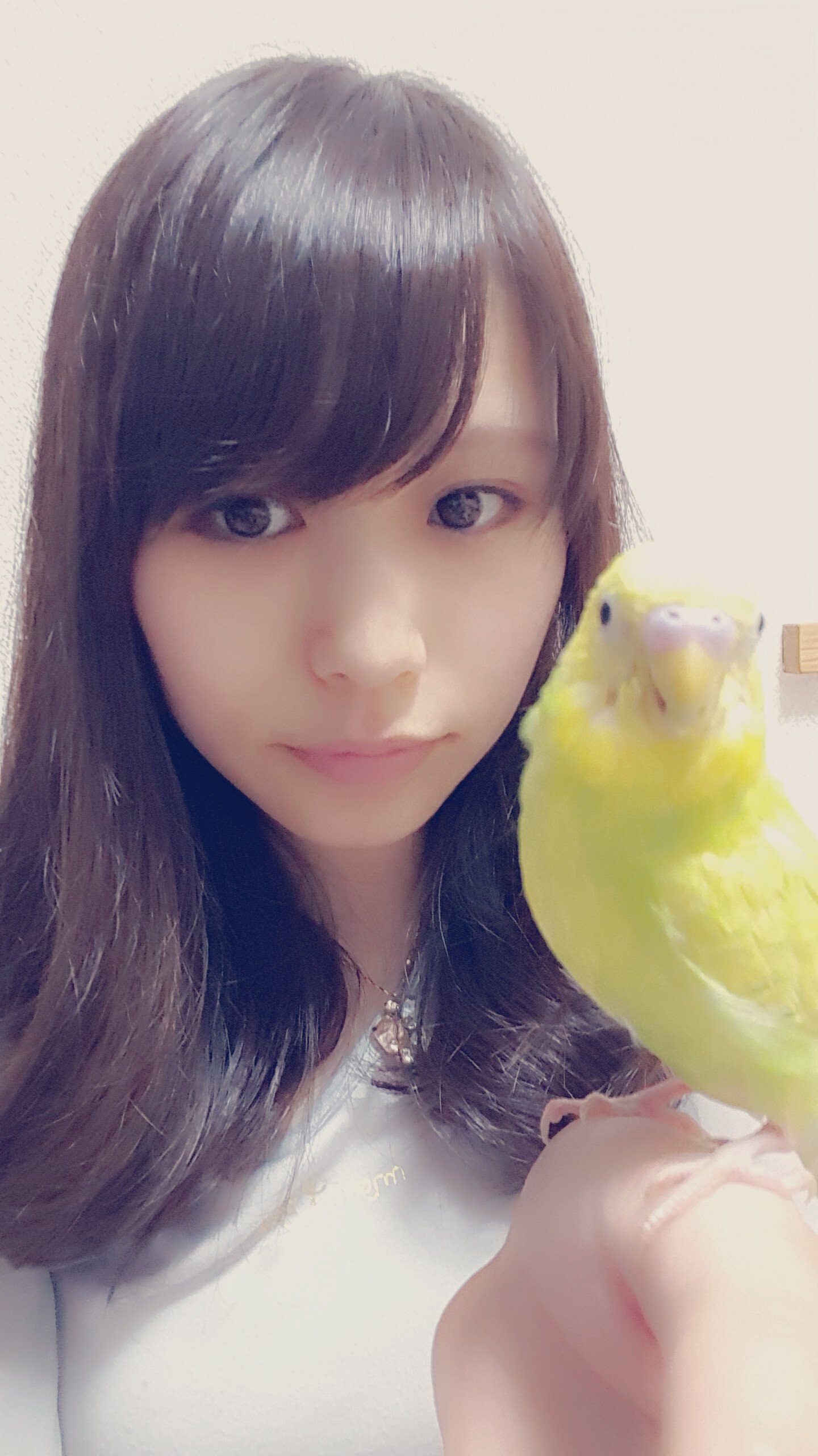 さくら？♡ちゃんの2015/7/31 (金) 13:51のブログ