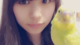 うちで飼ってる…