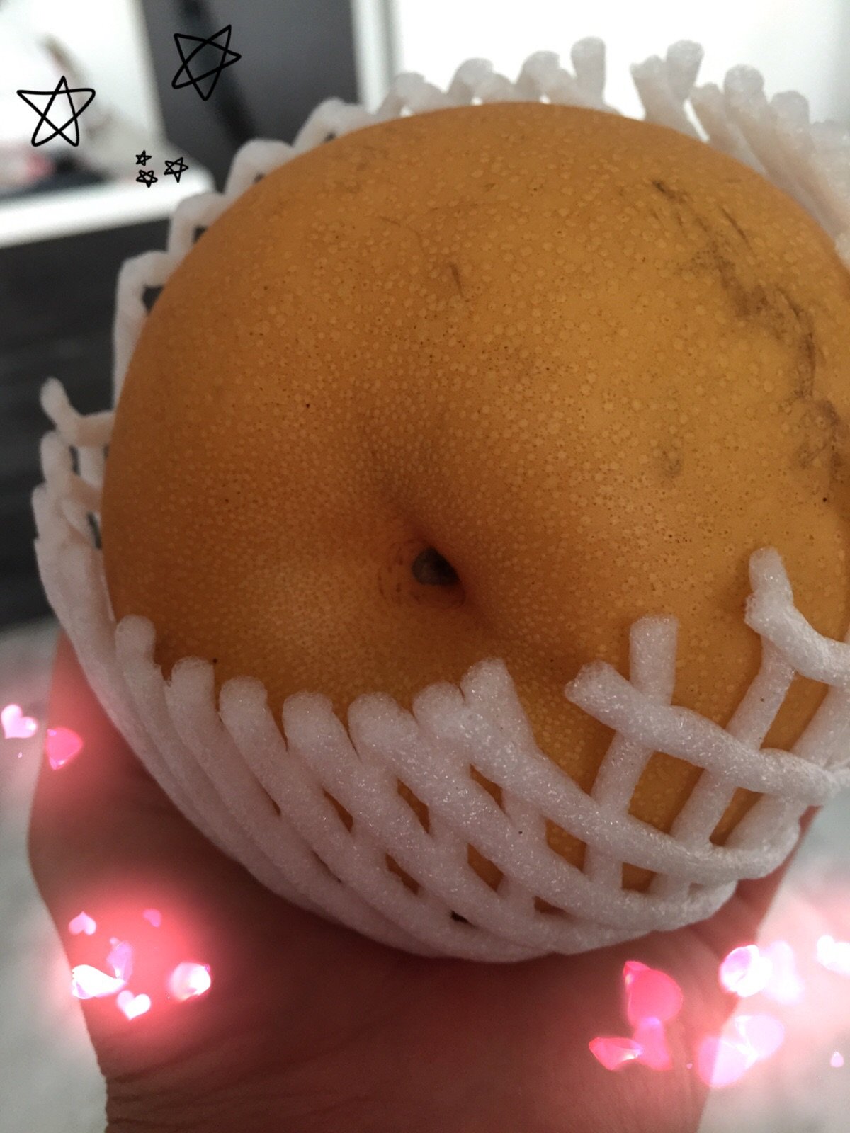 七花ちゃんの2015/8/28 (金) 18:18のブログ