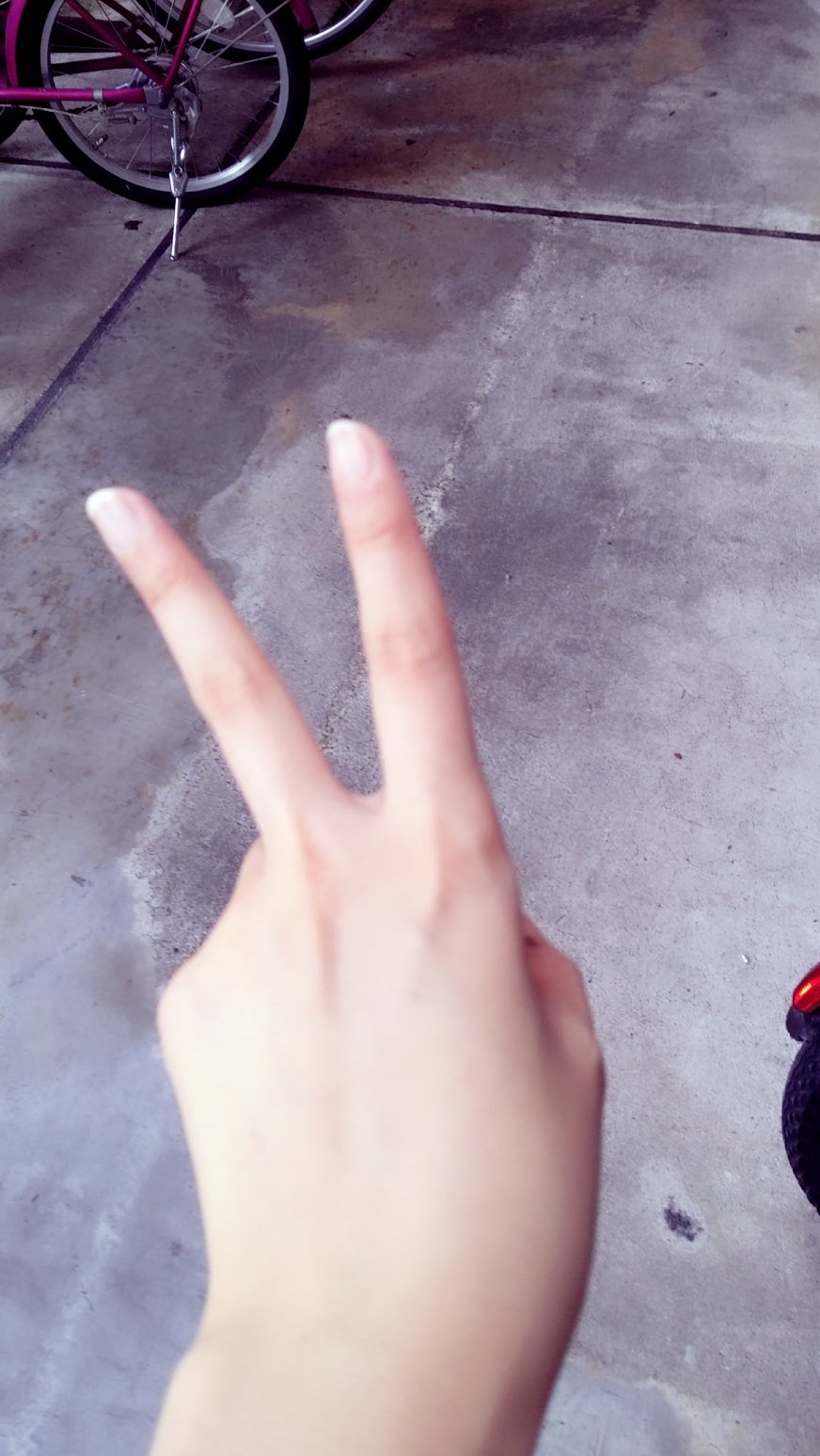 いってきまーす！