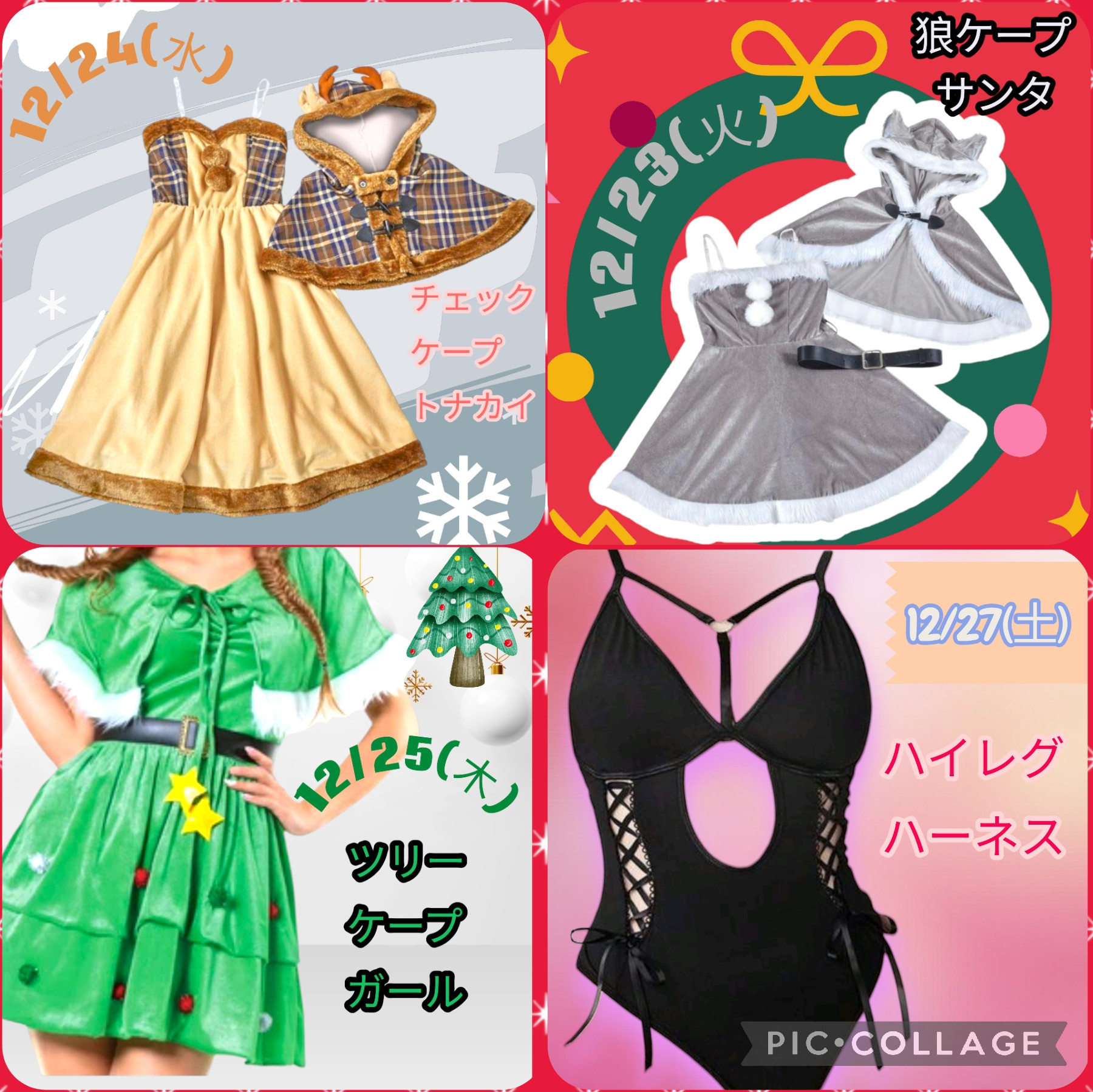 12月第4週の予定です☆