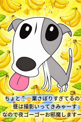 夜からインします！