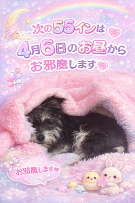 コンにちワーワー