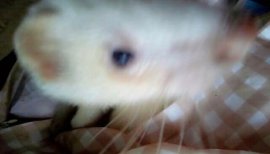 ゆきちゃんの2017/1/15 (日) 22:19のブログ