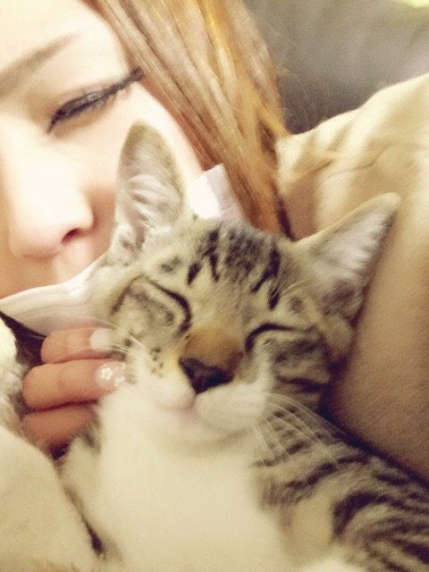 やーん💓