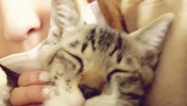 一花ちゃーんちゃんの2015/9/21 (月) 21:12のブログ