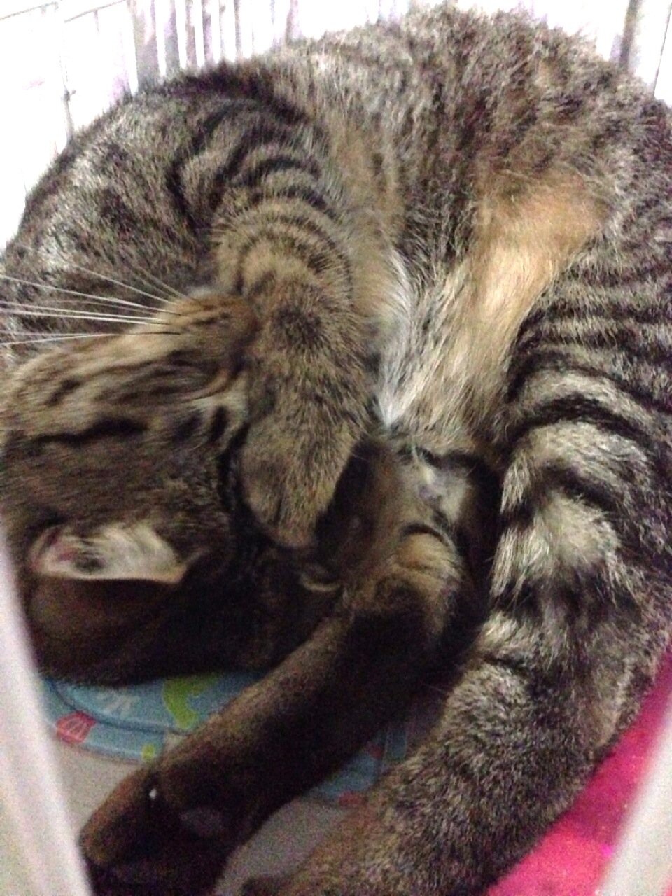 はじめまして★