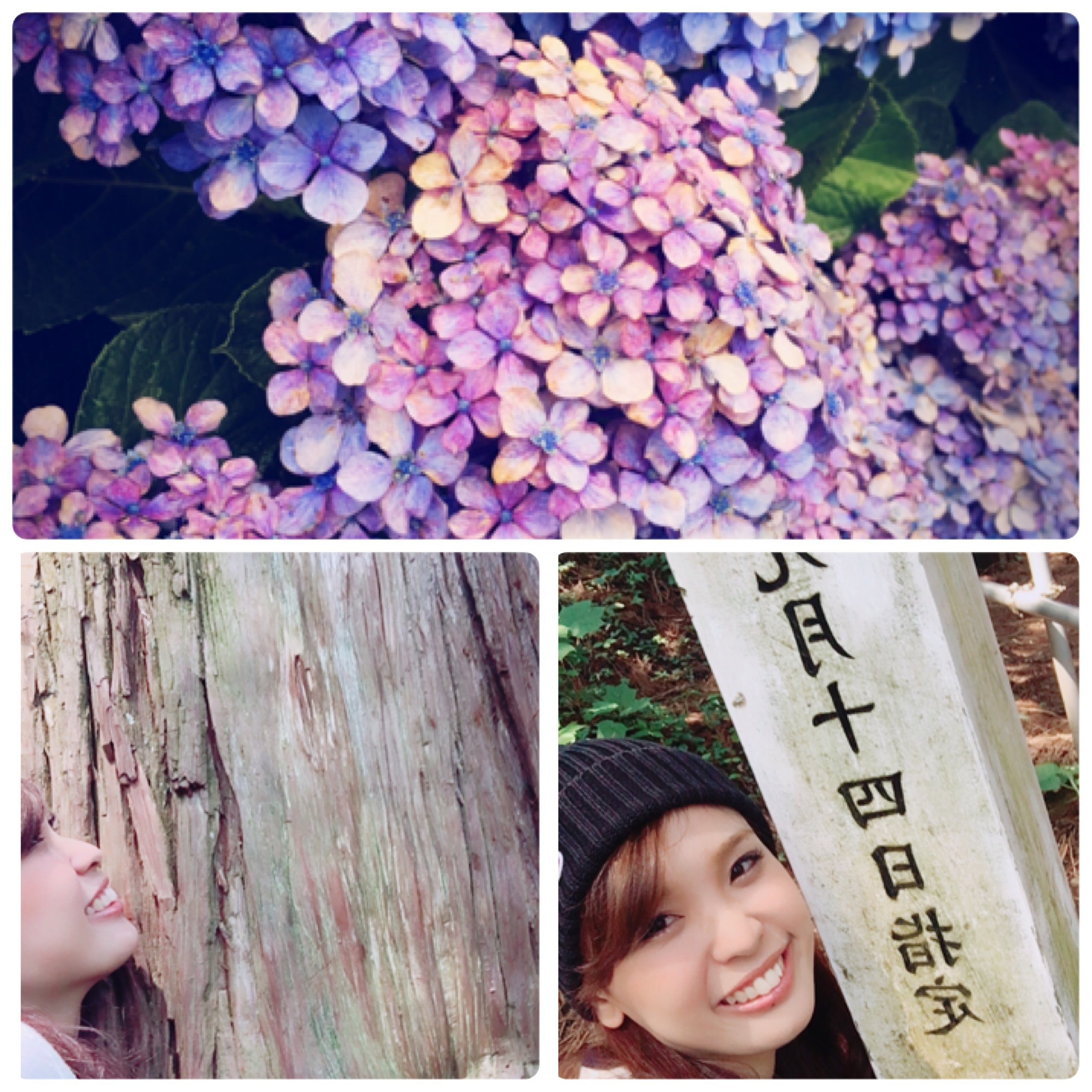 梅雨だねーー(笑)