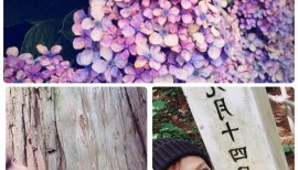 まああや⭐️ちゃんの2017/7/1 (土) 02:56のブログ