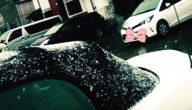 ひなたろす！ちゃんの2016/1/24 (日) 22:04のブログ