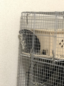 まいちゃんの2019/7/8 (月) 18:42のブログ