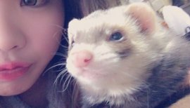 さきかちゃんの2015/12/17 (木) 10:30のブログ