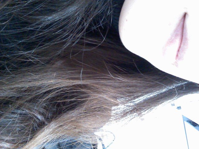 おはようございます！