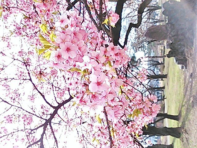 おはようございます！