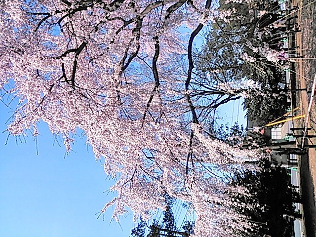 おはようございます！