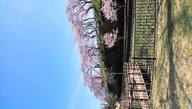 しほり〜ちゃんの2016/4/2 (土) 16:25のブログ