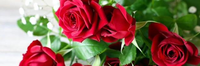 イメージは『　シットリ　』に決定です