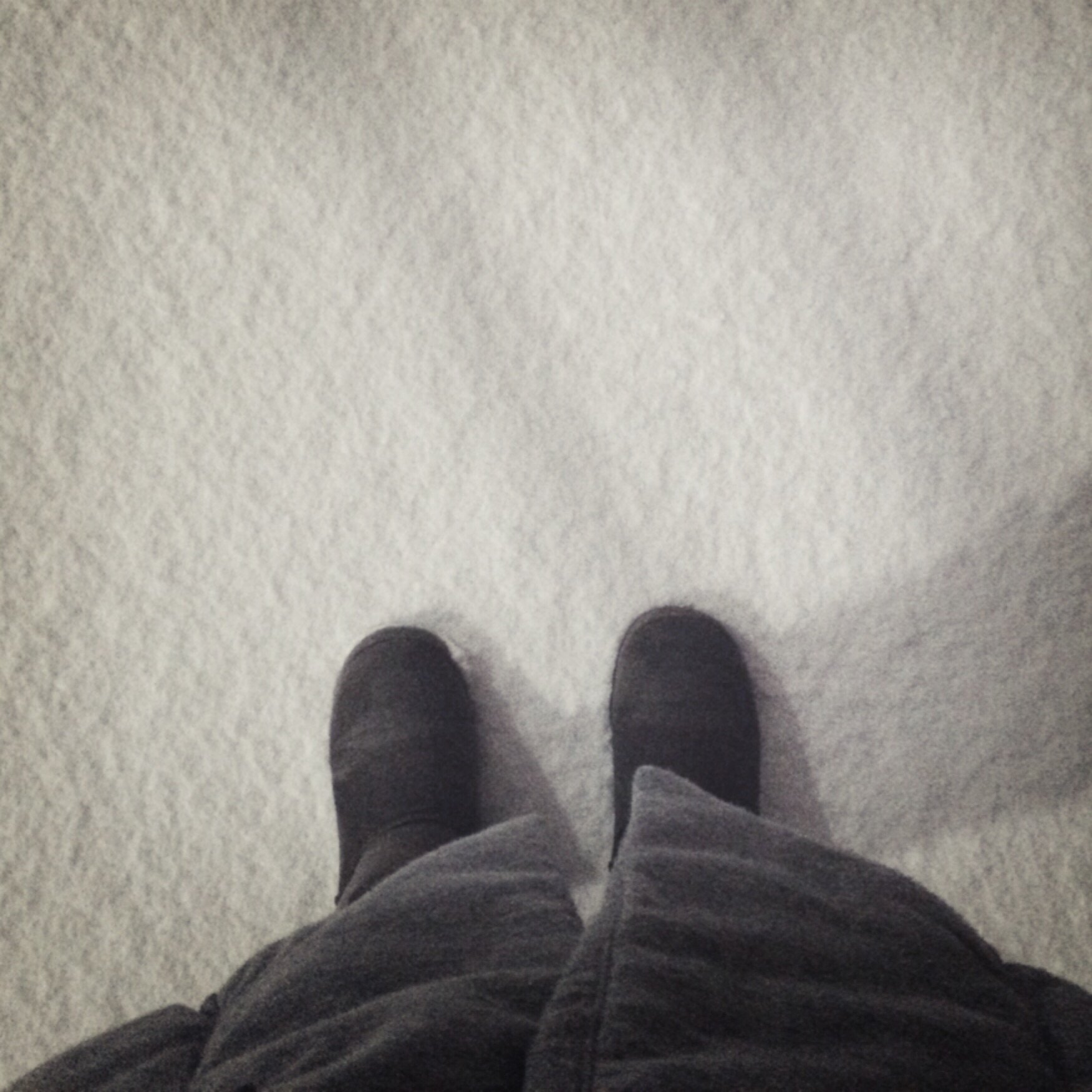 初めてのサラサラ雪！