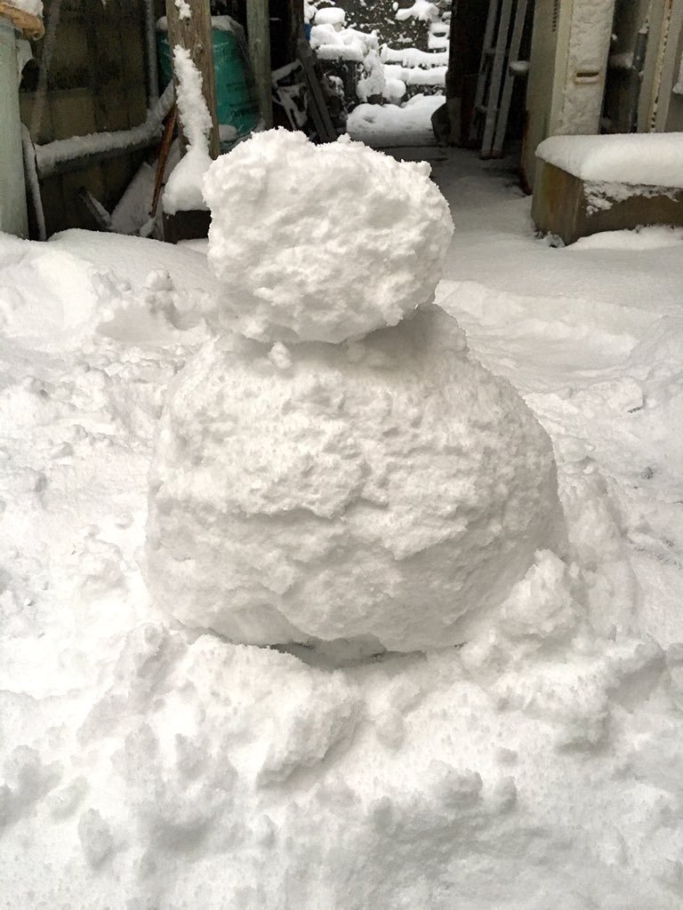 お久しぶり…かな( ˊᵕˋ )