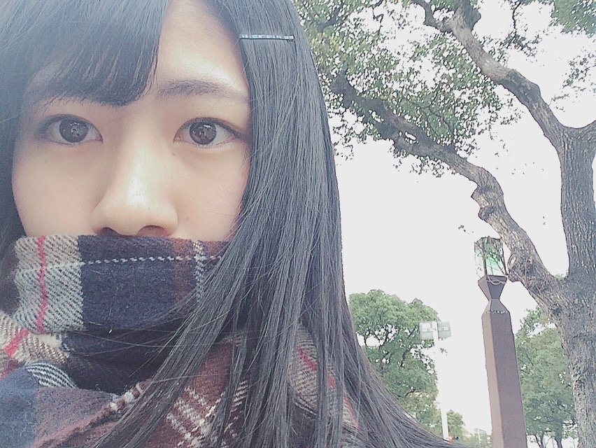 お久しぶりです（ ;  ; ）