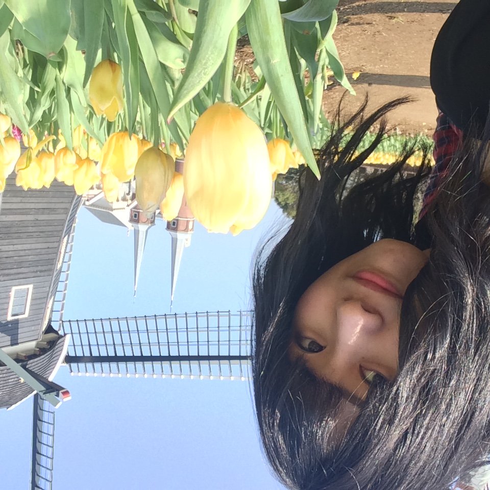 お久しぶりです( ；∀；)
