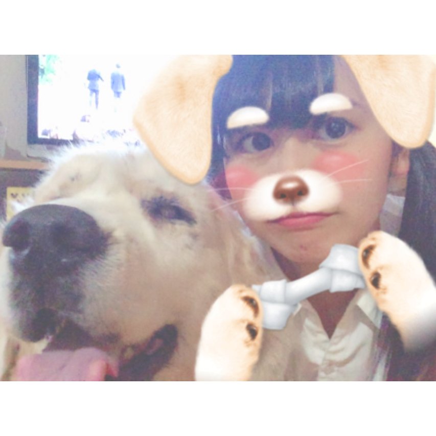 お久しぶりです（ ;  ; ）