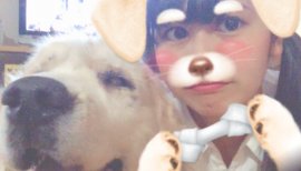 お久しぶりです（ ;  ; ）